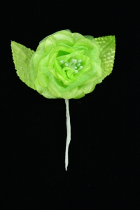 Apple Green Open Rose  (Lot of 12) SALE ITEM